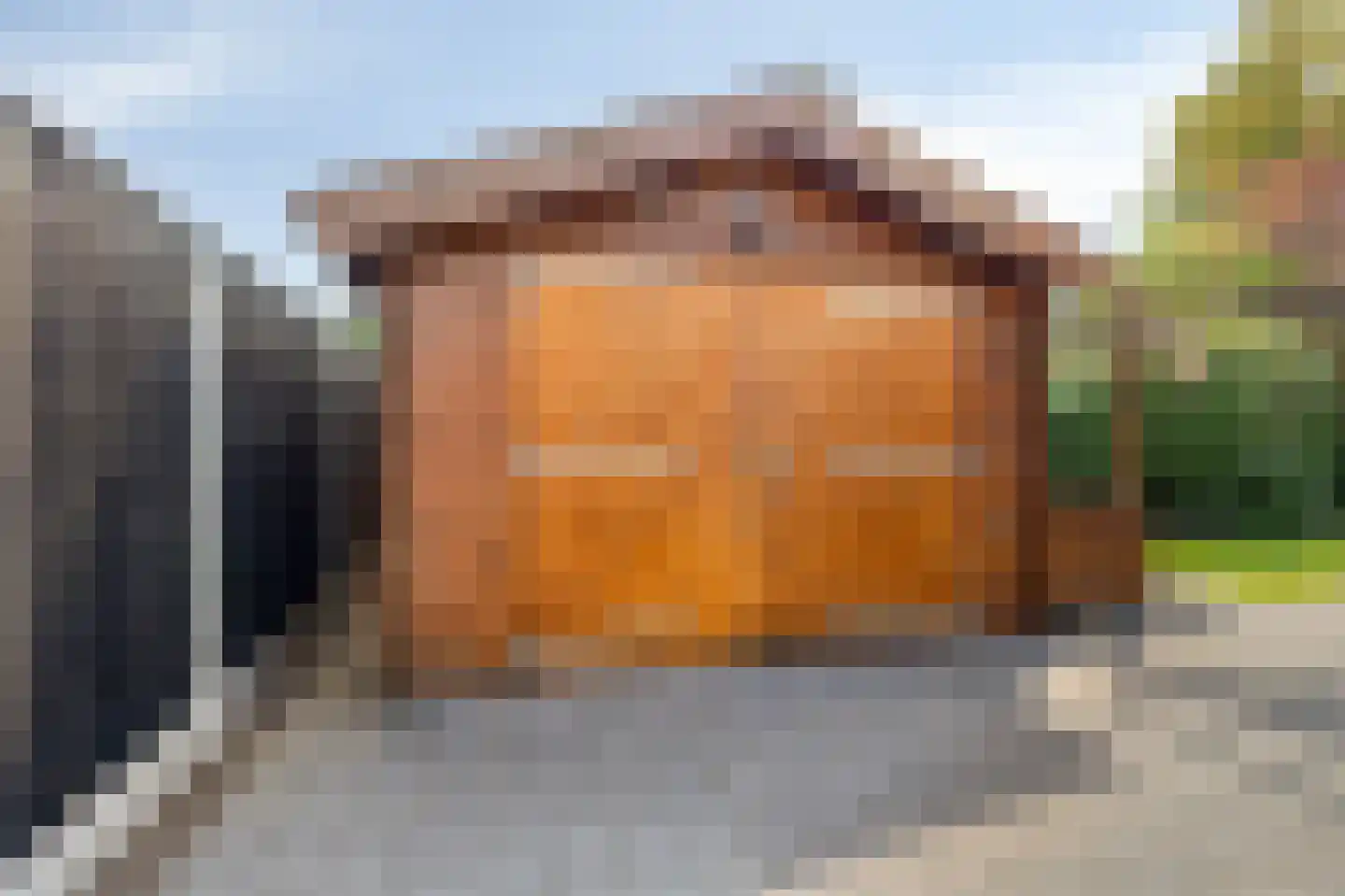 Groen van Prinstererstraat 42 Zelhem thumbnail 53