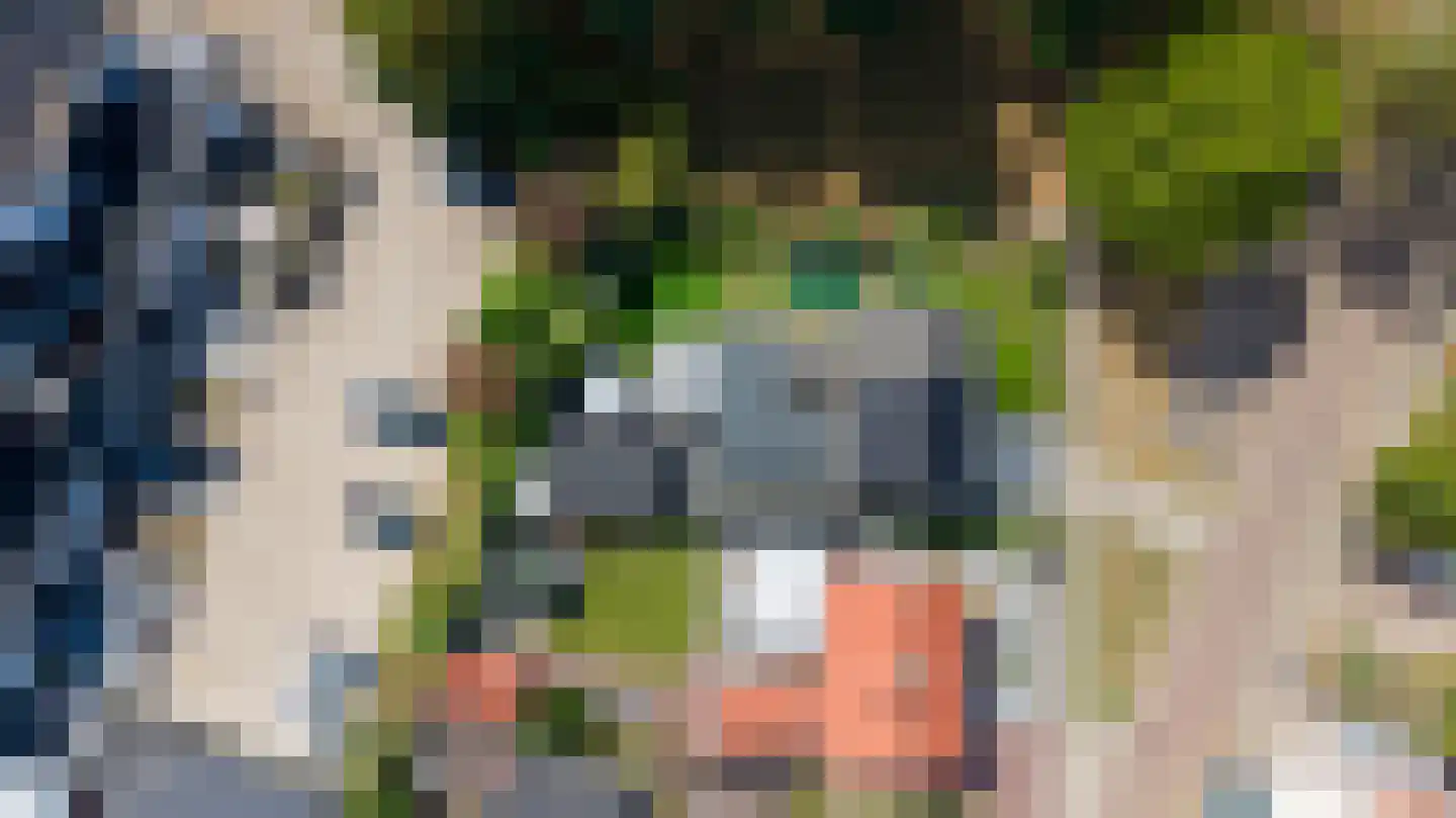 Groen van Prinstererstraat 42 Zelhem thumbnail 55