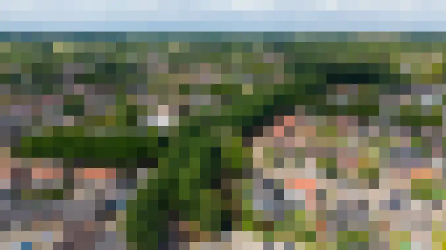 Groen van Prinstererstraat 42 Zelhem thumbnail 56