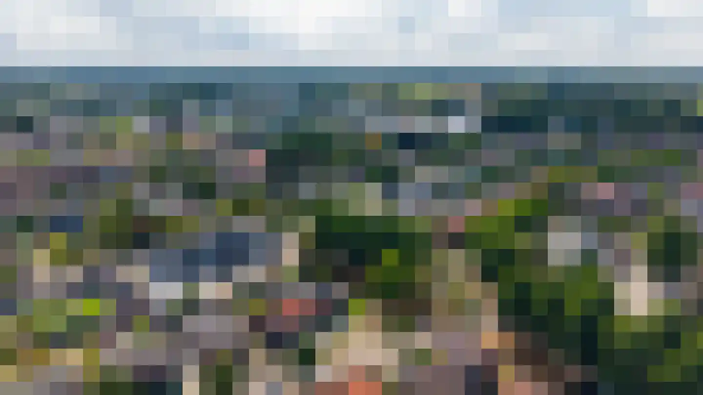 Groen van Prinstererstraat 42 Zelhem thumbnail 57