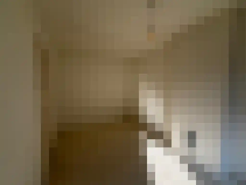 Groen van Prinstererstraat 47 Rotterdam thumbnail 5