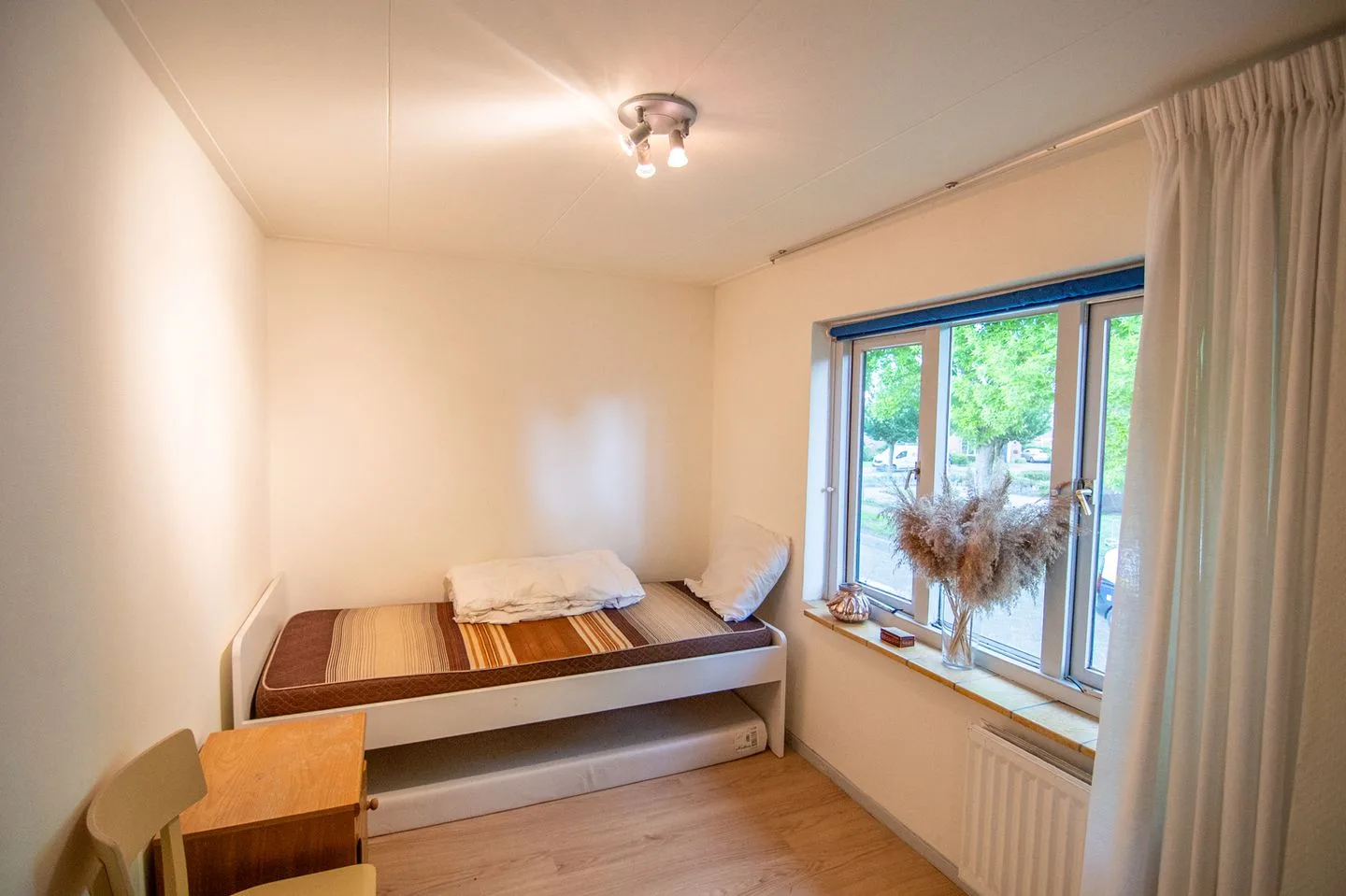 Groen van Prinstererstraat 48 Zelhem thumbnail 15