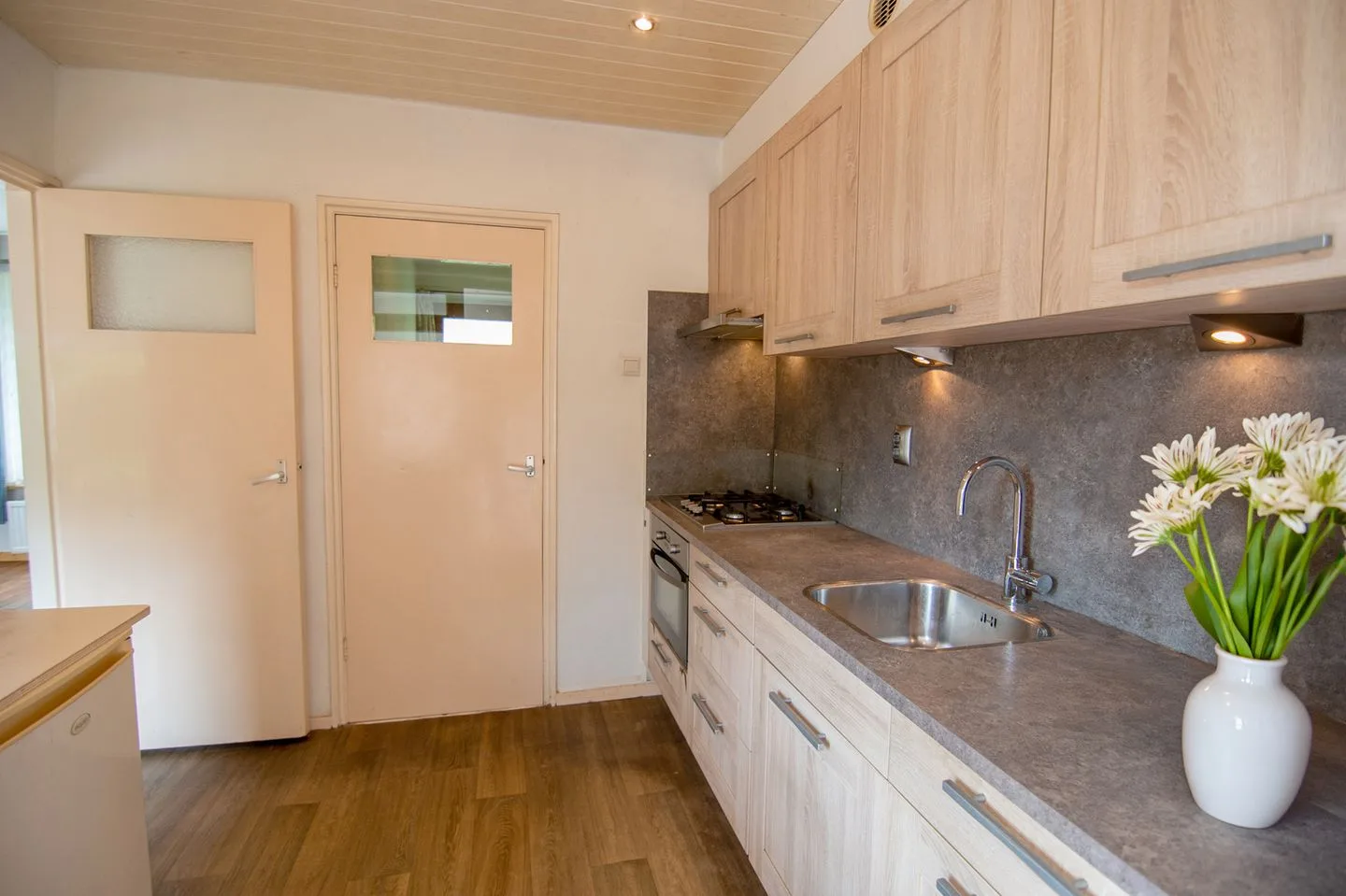 Groen van Prinstererstraat 48 Zelhem thumbnail 9