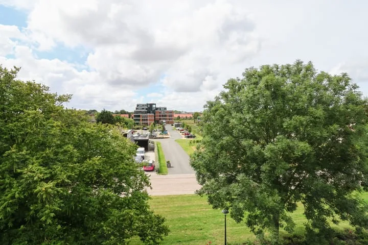 Groen van Prinstererstraat 49 Harlingen thumbnail 31