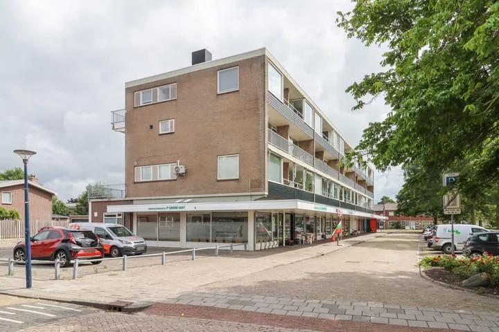 Groen van Prinstererstraat 49 Harlingen thumbnail 4
