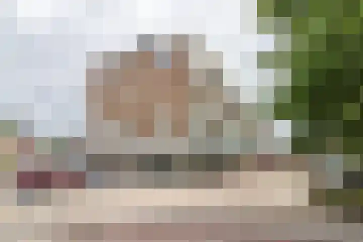Groen van Prinstererstraat 49 Harlingen thumbnail 4