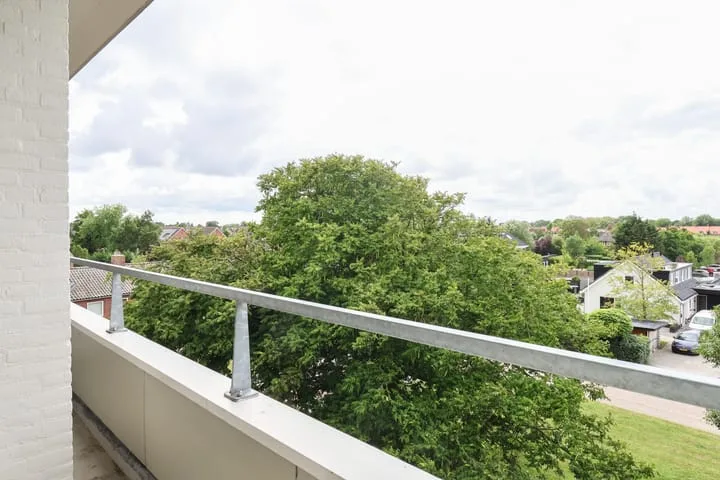 Groen van Prinstererstraat 49 Harlingen thumbnail 41