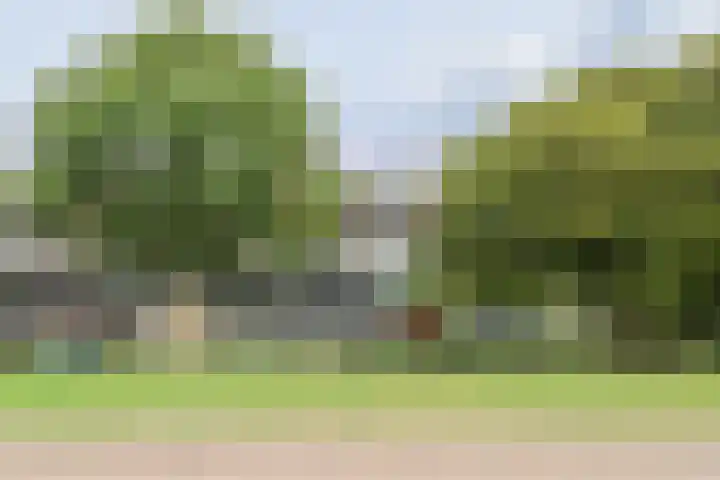 Groen van Prinstererstraat 49 Harlingen thumbnail 46