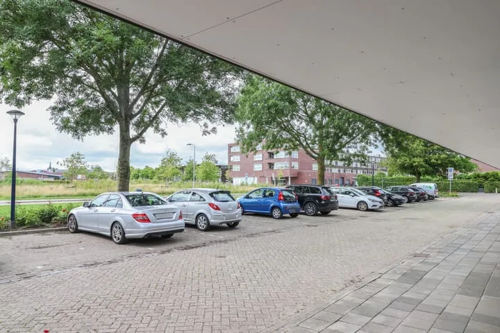 Groen van Prinstererstraat 49 Harlingen thumbnail 5