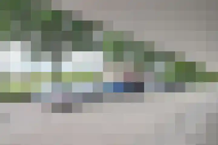 Groen van Prinstererstraat 49 Harlingen thumbnail 5