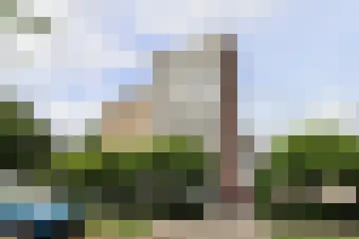 Groen van Prinstererstraat 49 Harlingen thumbnail 7