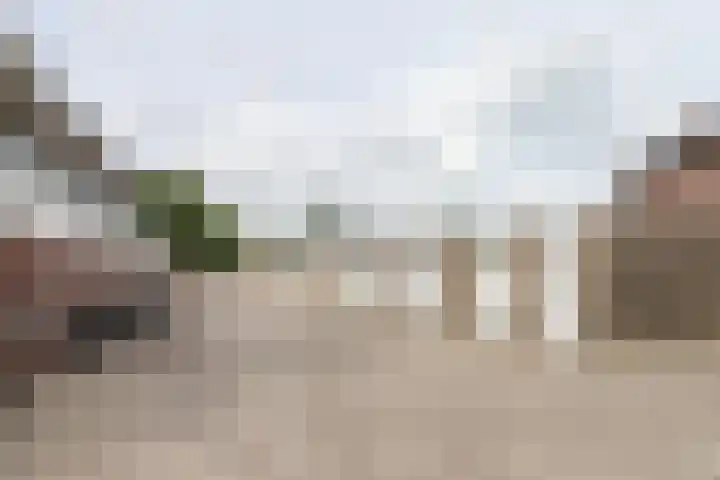 Groen van Prinstererstraat 49 Harlingen thumbnail 8