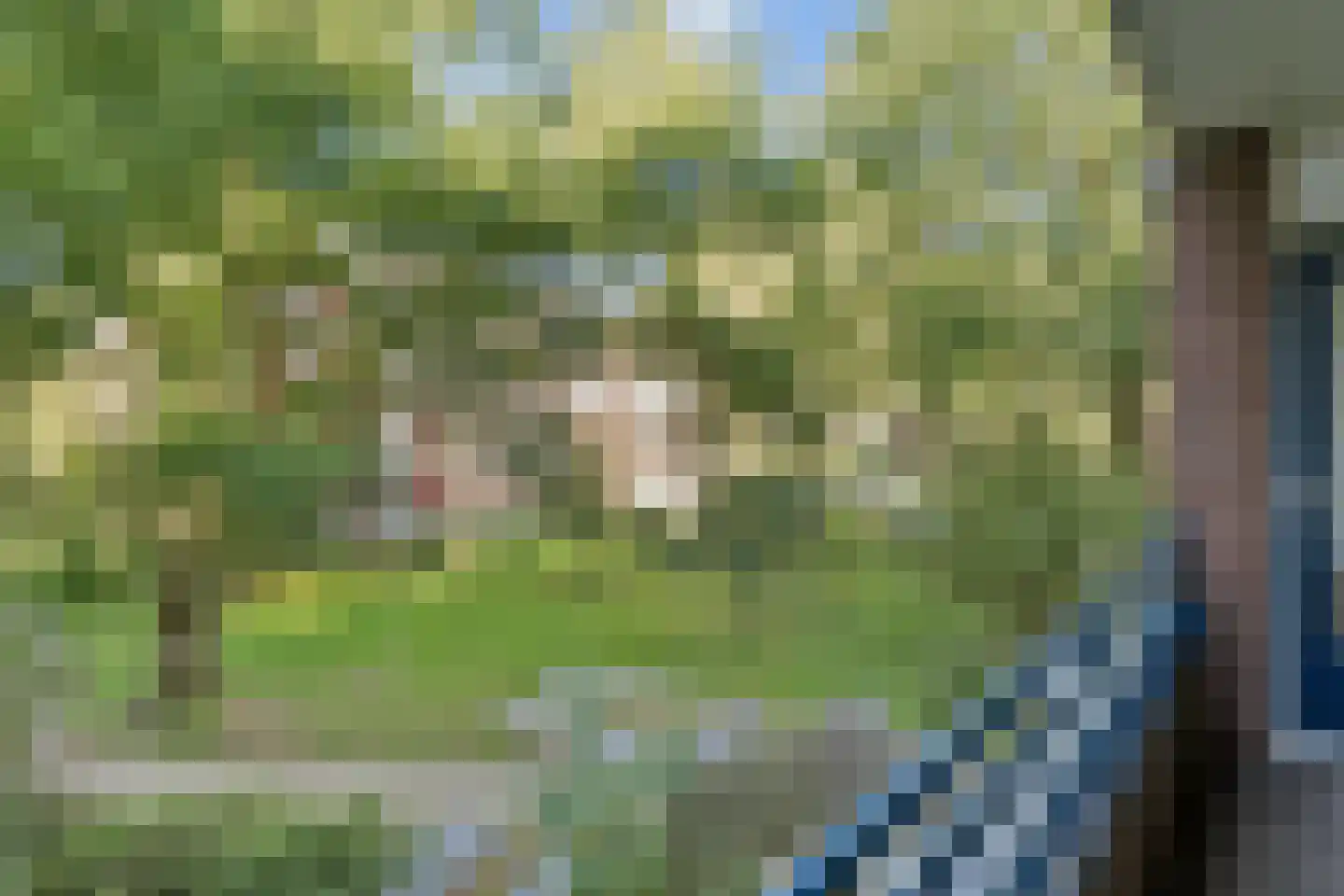 Groen van Prinstererstraat 49 Wageningen thumbnail 20
