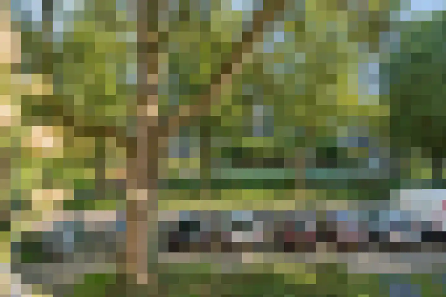 Groen van Prinstererstraat 49 Wageningen thumbnail 24