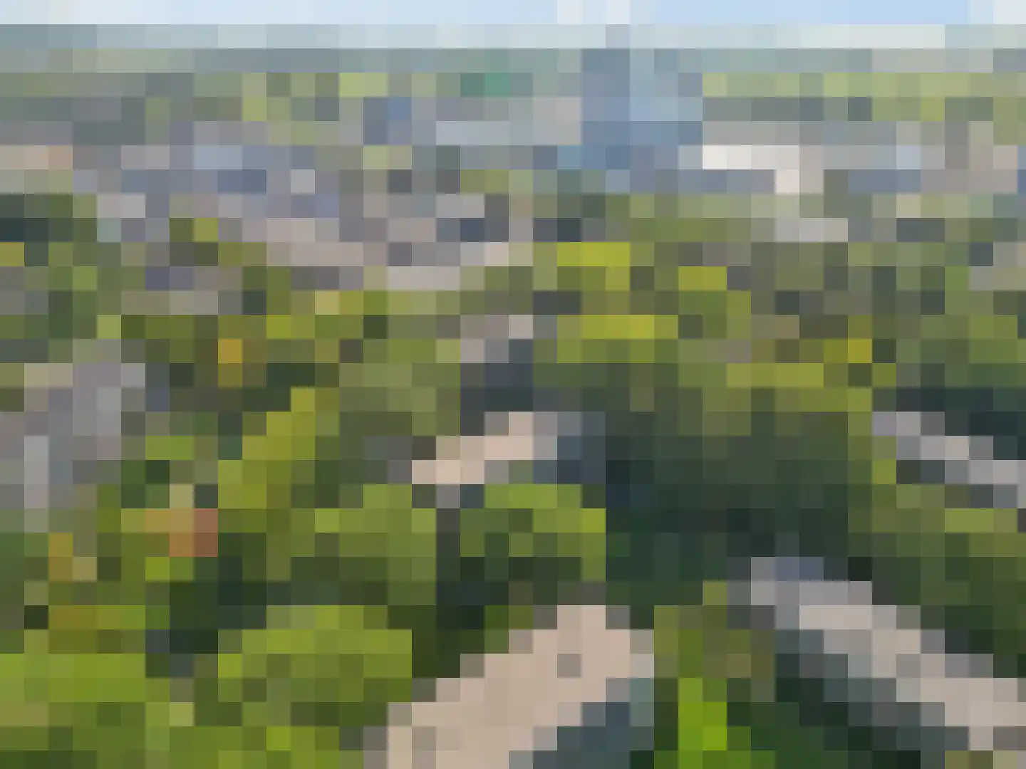 Groen van Prinstererstraat 49 Wageningen thumbnail 26