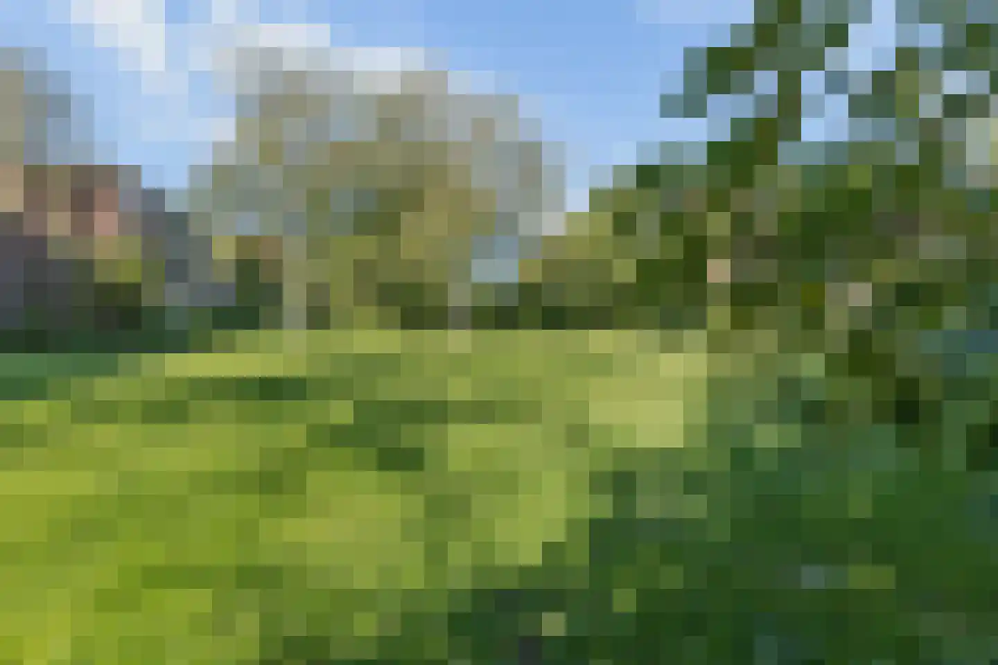 Groen van Prinstererstraat 49 Wageningen thumbnail 28