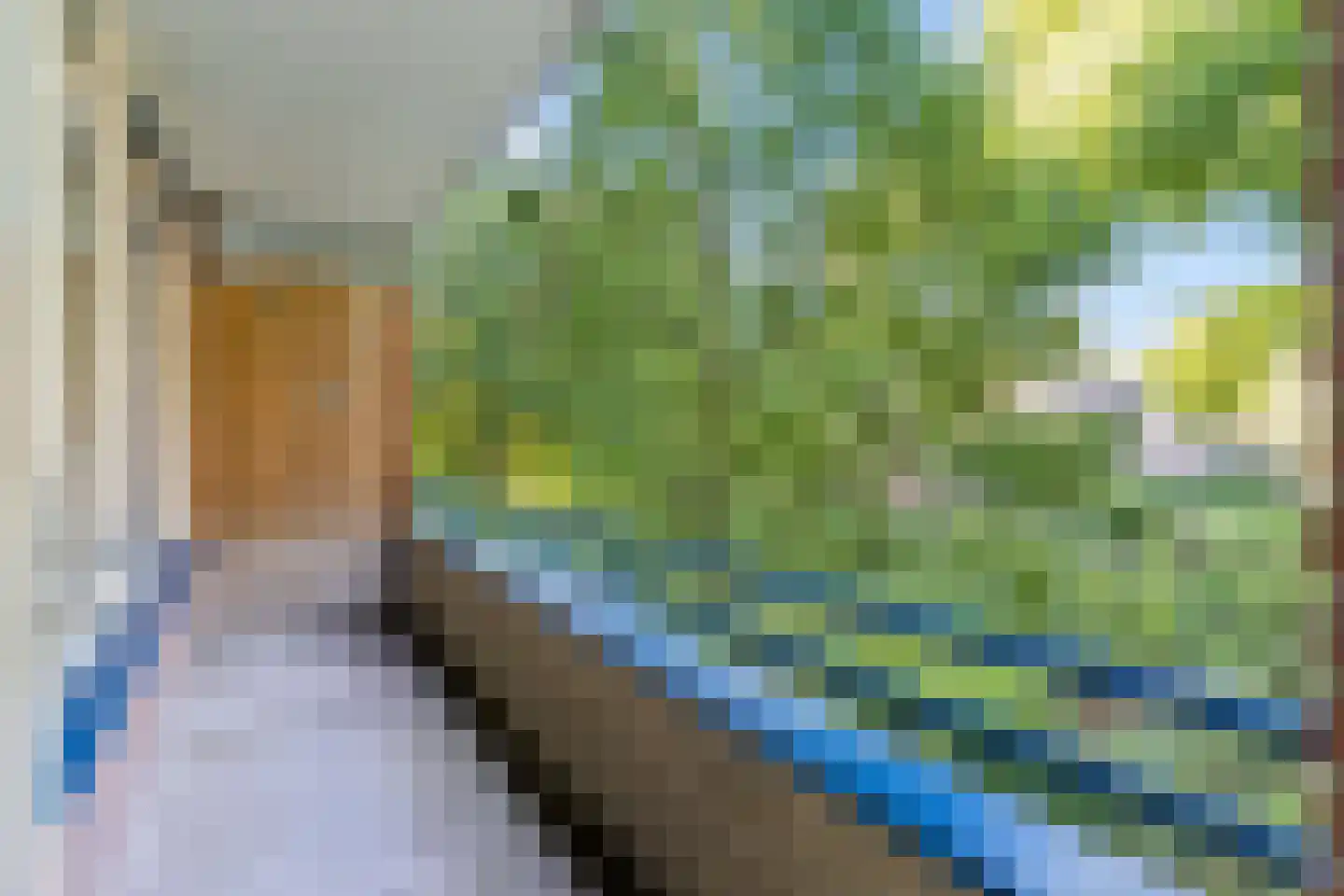 Groen van Prinstererstraat 49 Wageningen thumbnail 4