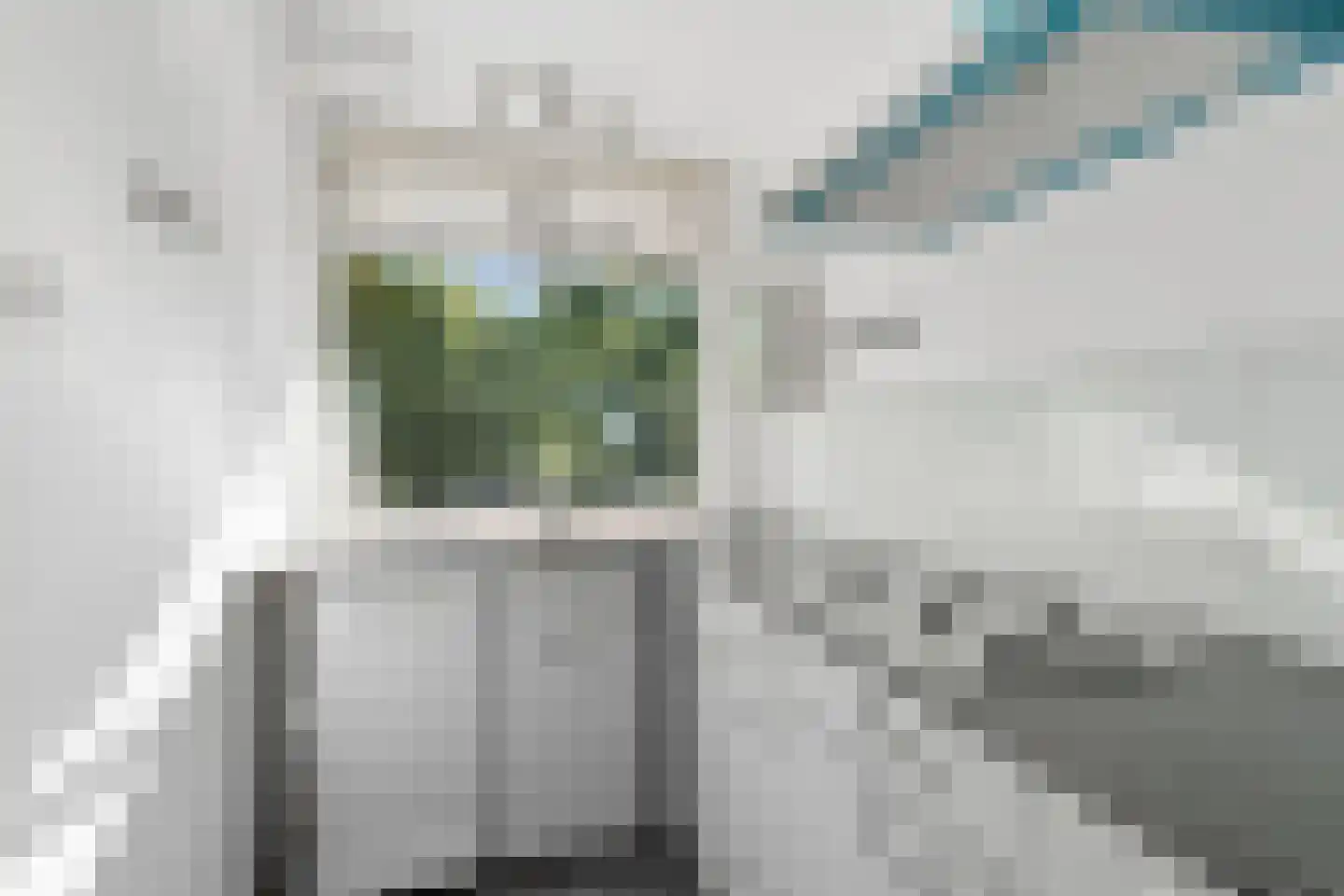 Groen van Prinstererstraat 49 Wageningen thumbnail 6