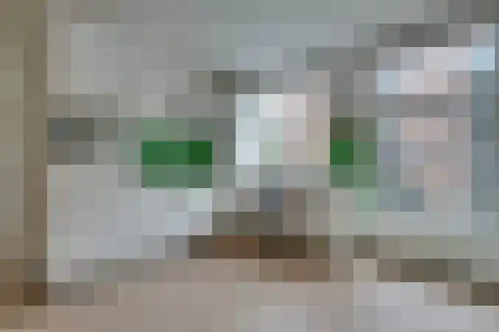 Groen van Prinstererstraat 5 2 Amsterdam thumbnail 16