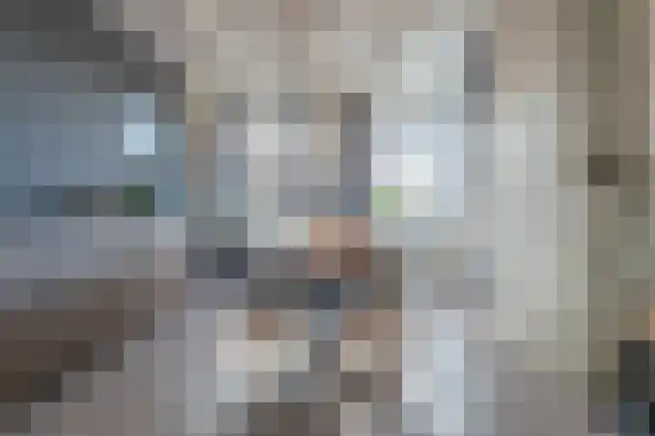 Groen van Prinstererstraat 5 Vlaardingen thumbnail 25