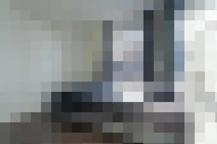 Groen van Prinstererstraat 5 Vlaardingen thumbnail 27