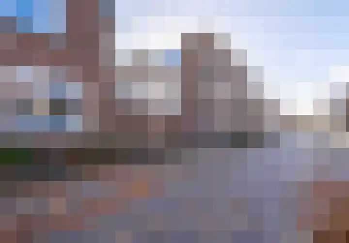 Groen van Prinstererstraat 5 Vlaardingen thumbnail 8