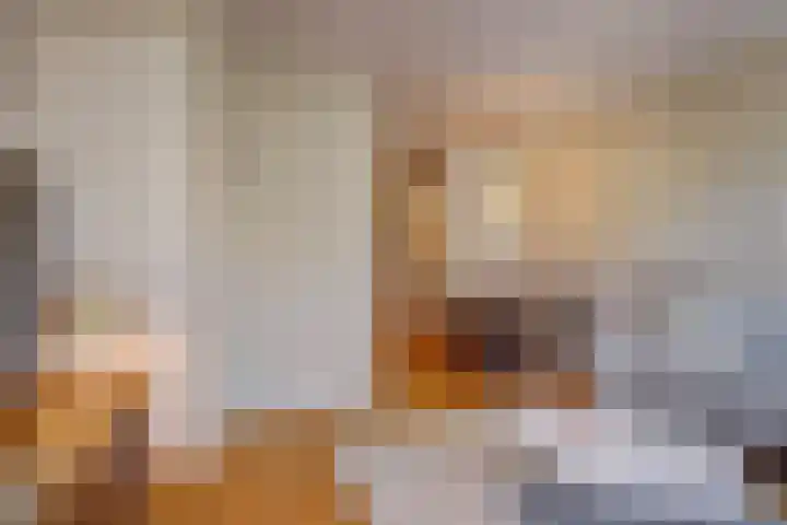 Groen van Prinstererstraat 51 1 Amsterdam thumbnail 7