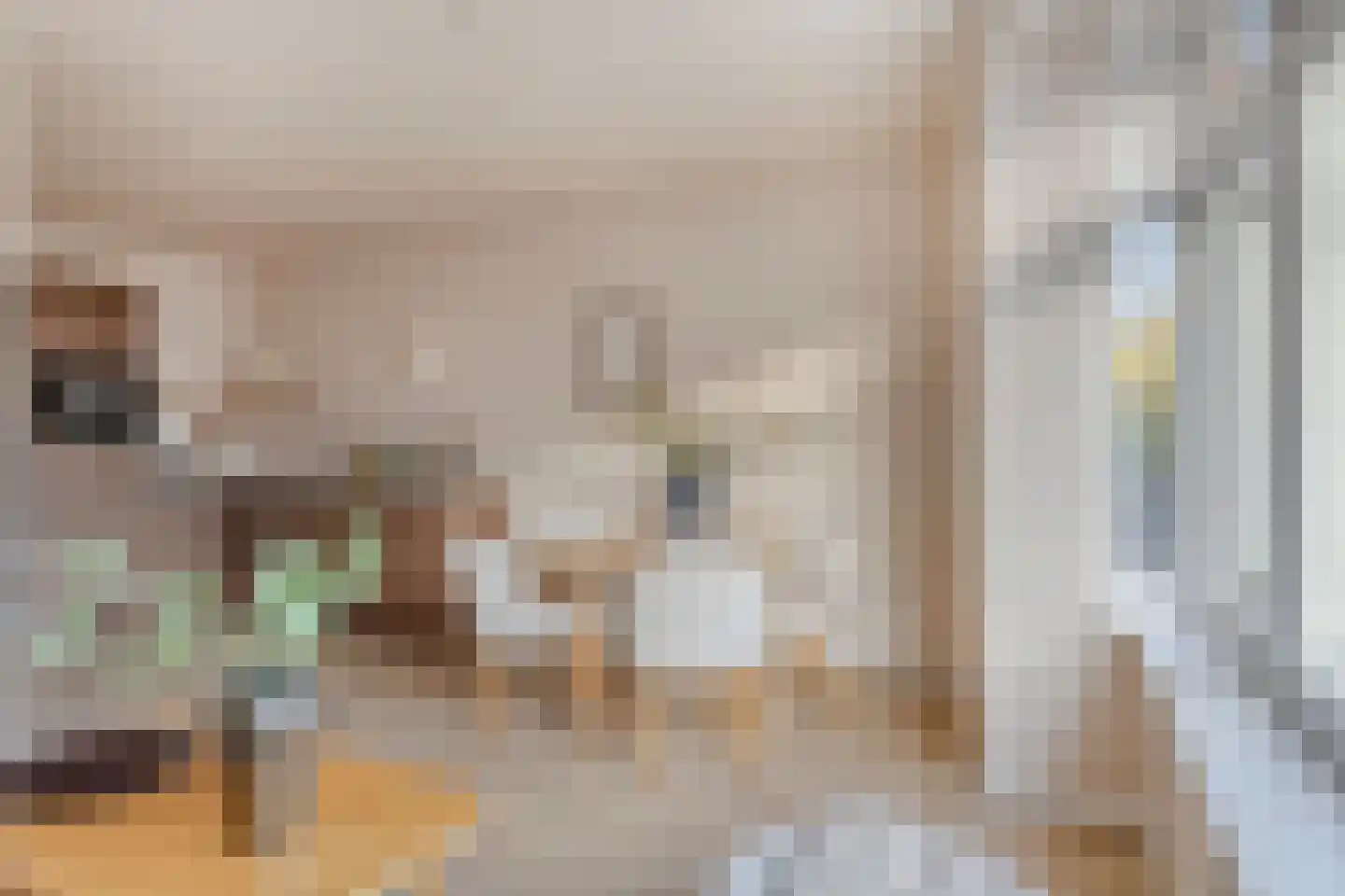 Groen van Prinstererstraat 51 B 02 Rotterdam thumbnail 10