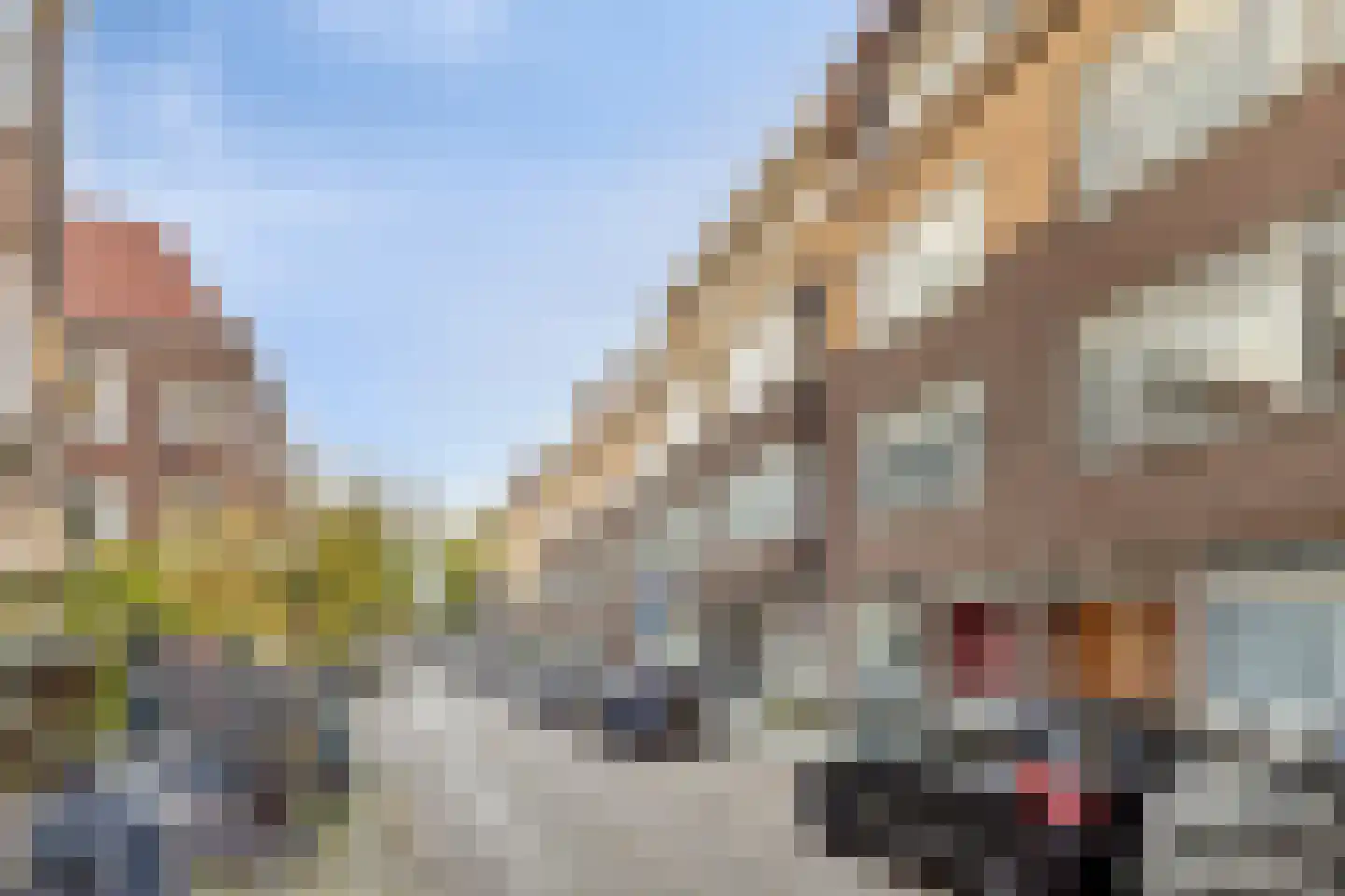 Groen van Prinstererstraat 51 B 02 Rotterdam thumbnail 21