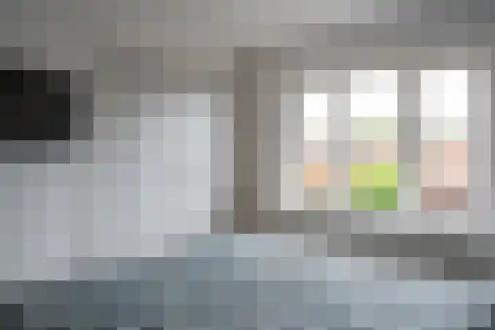 Groen van Prinstererstraat 52 Zelhem thumbnail 17