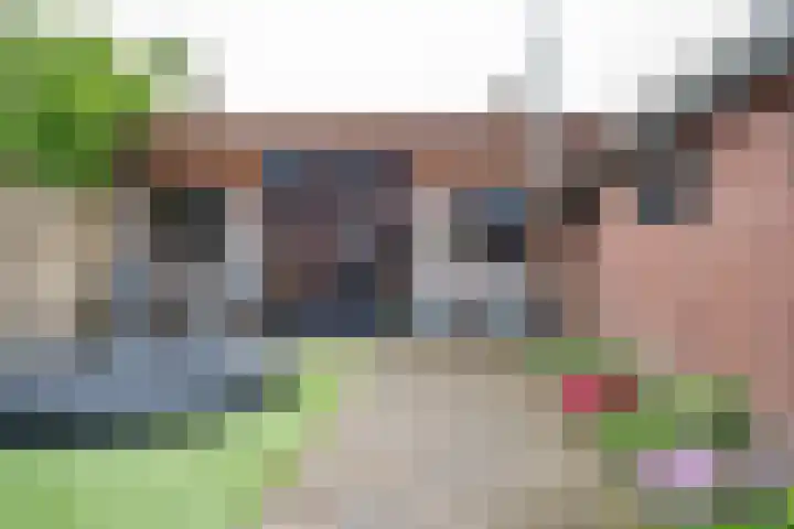 Groen van Prinstererstraat 52 Zelhem thumbnail 27