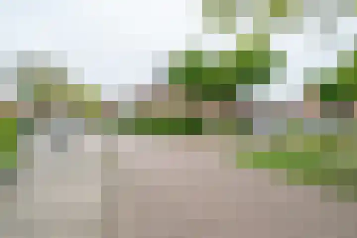 Groen van Prinstererstraat 52 Zelhem thumbnail 30