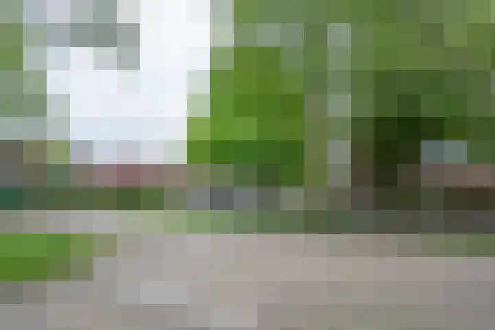 Groen van Prinstererstraat 52 Zelhem thumbnail 31