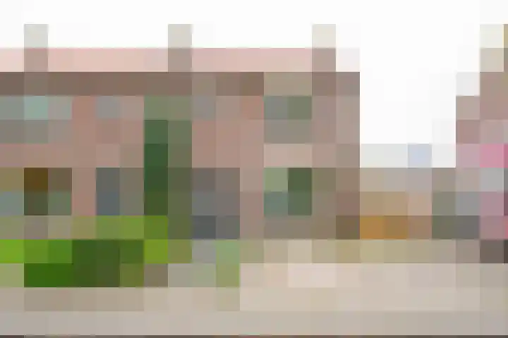 Groen van Prinstererstraat 52 Zelhem thumbnail 4