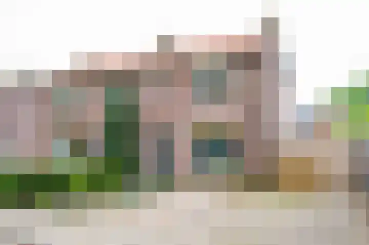 Groen van Prinstererstraat 52 Zelhem thumbnail 44