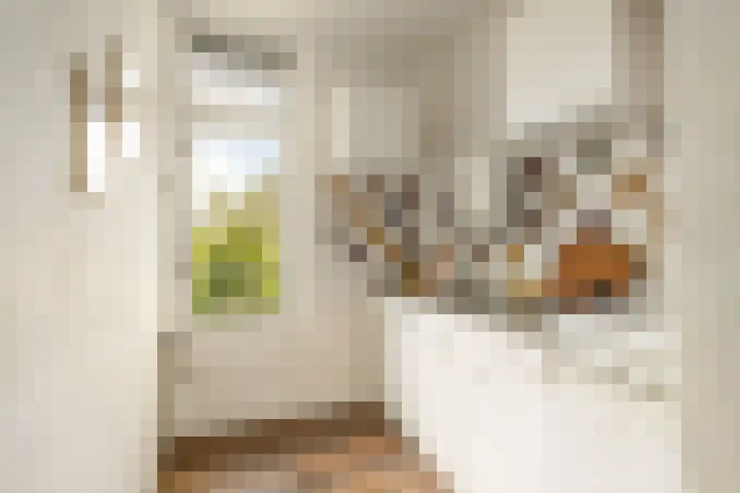 Groen van Prinstererstraat 54 2 Amsterdam thumbnail 14