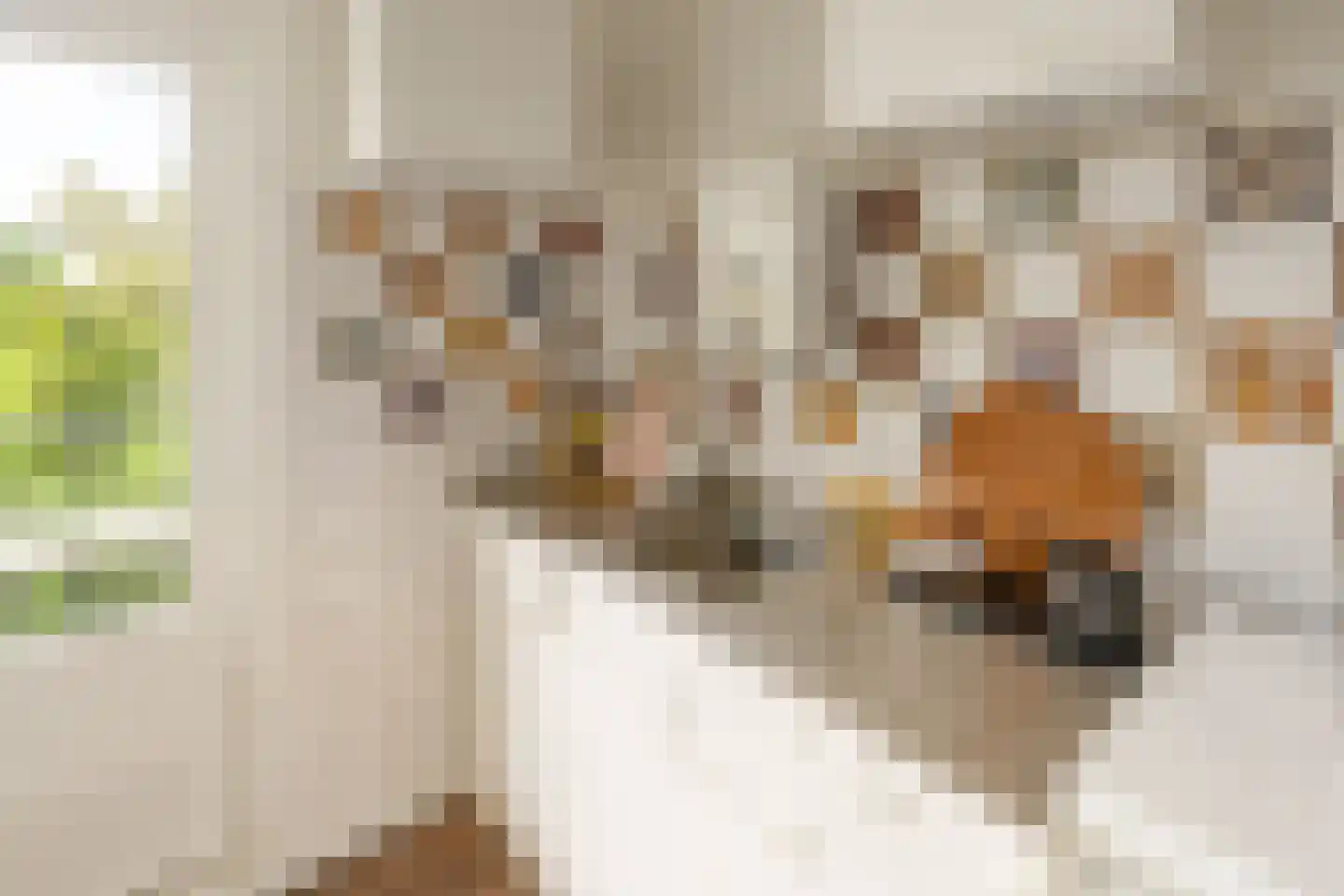 Groen van Prinstererstraat 54 2 Amsterdam thumbnail 15
