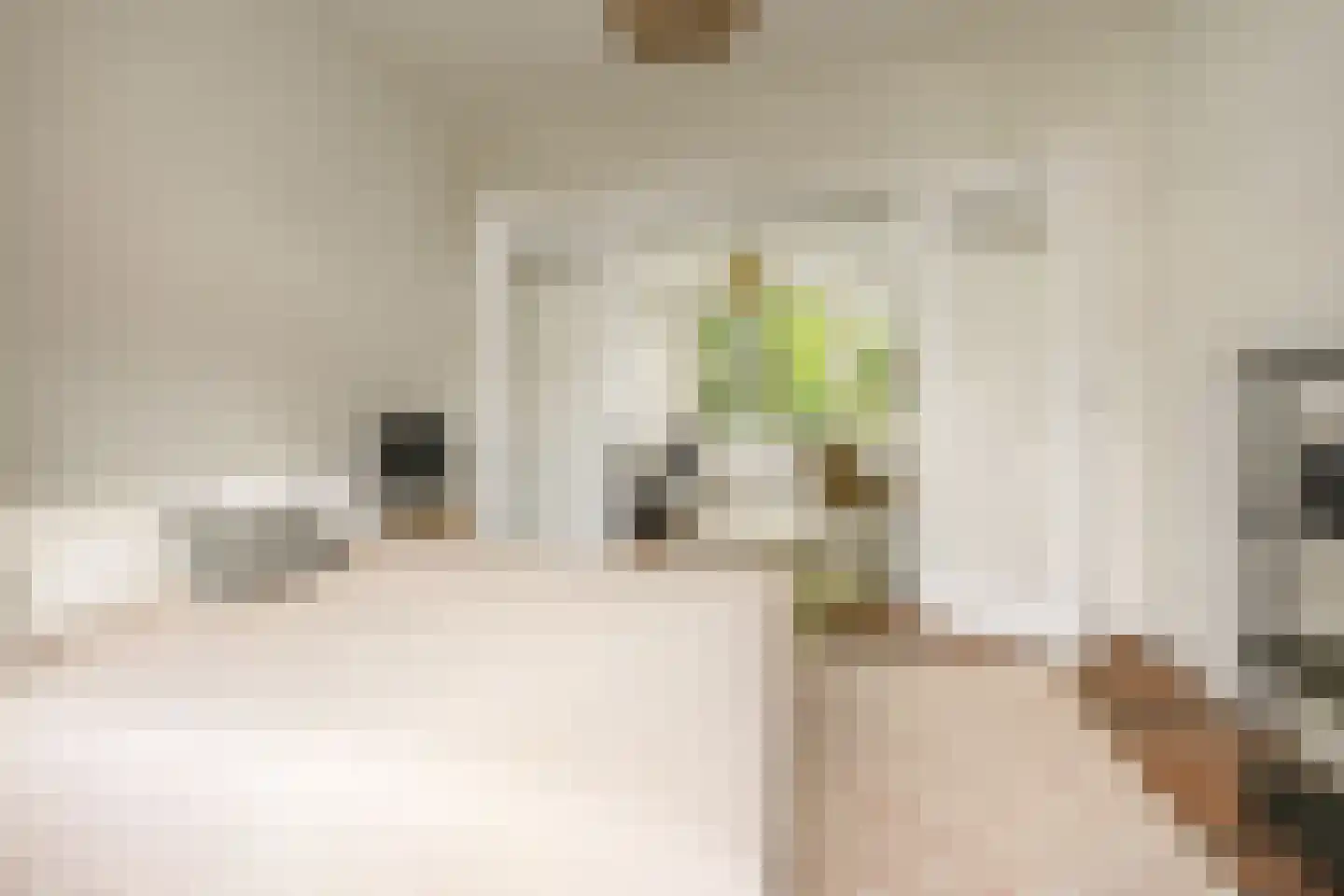 Groen van Prinstererstraat 54 2 Amsterdam thumbnail 17