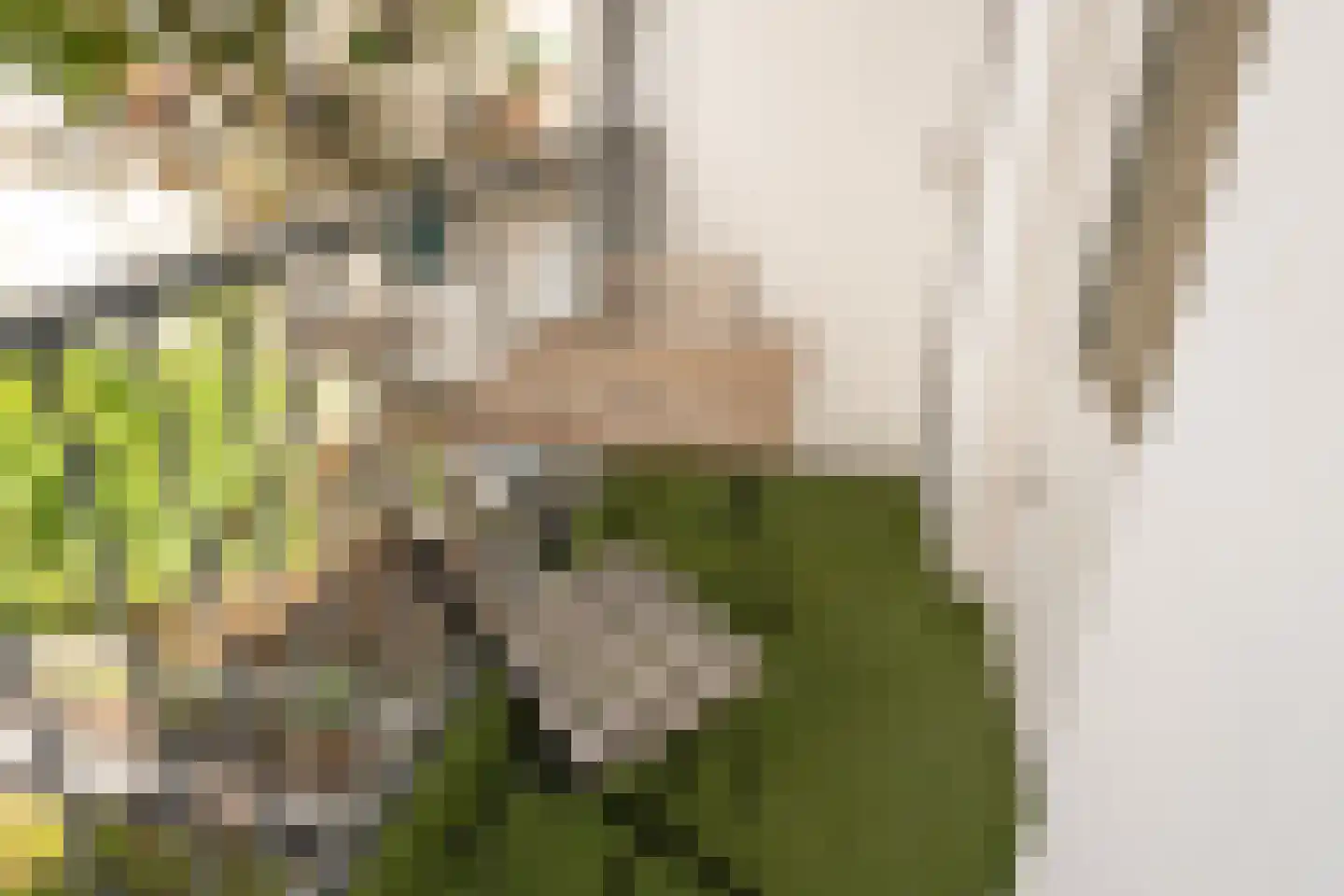 Groen van Prinstererstraat 54 2 Amsterdam thumbnail 22