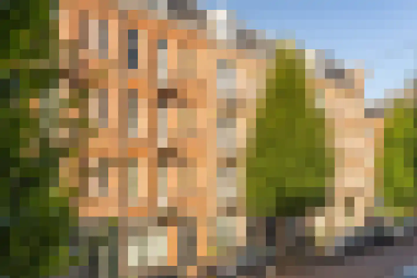 Groen van Prinstererstraat 54 2 Amsterdam thumbnail 24