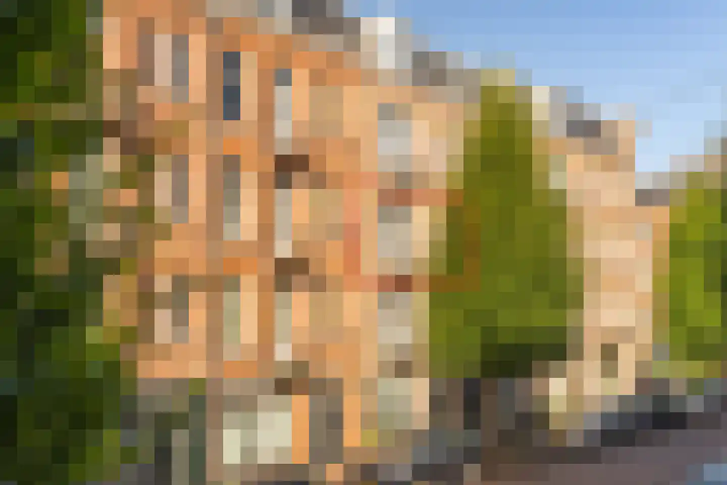 Groen van Prinstererstraat 54 2 Amsterdam thumbnail 30