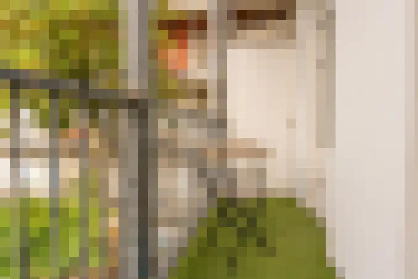 Groen van Prinstererstraat 54 2 Amsterdam thumbnail 5