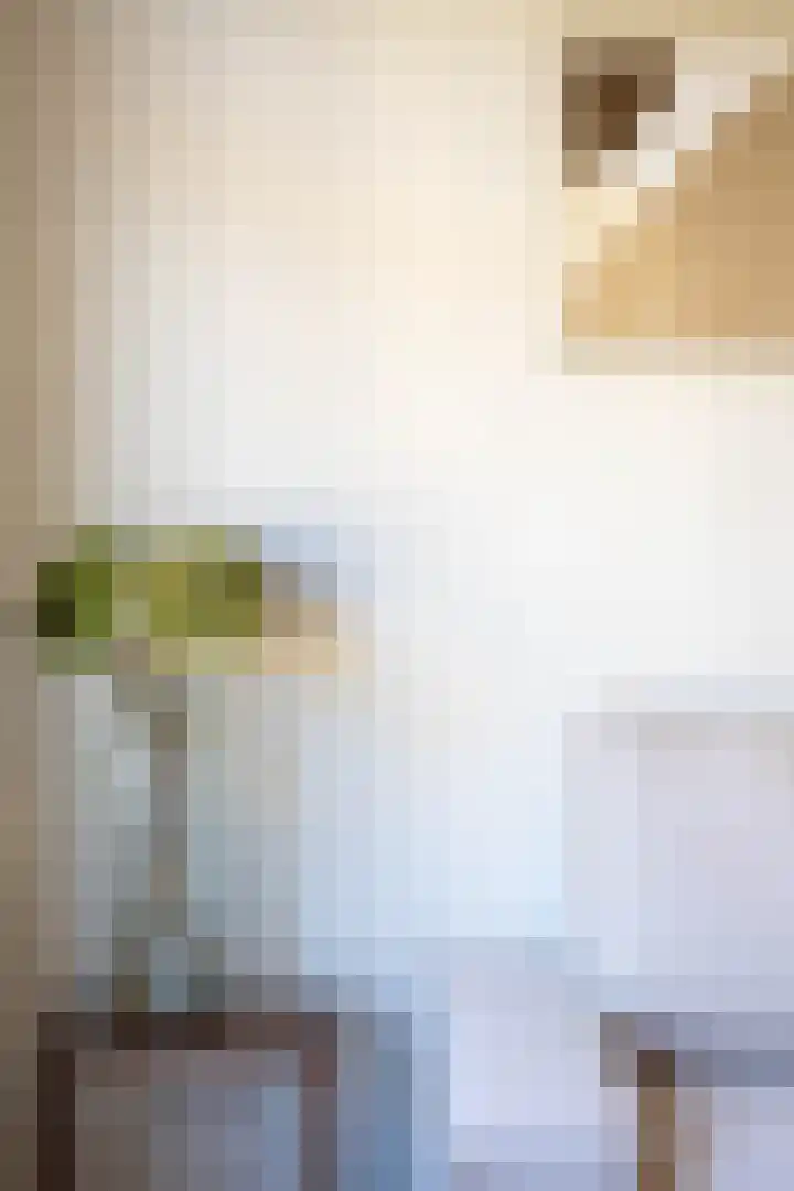 Groen van Prinstererstraat 55 B 01 Rotterdam thumbnail 17