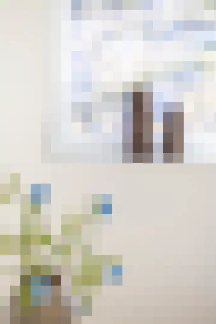 Groen van Prinstererstraat 55 B 01 Rotterdam thumbnail 32