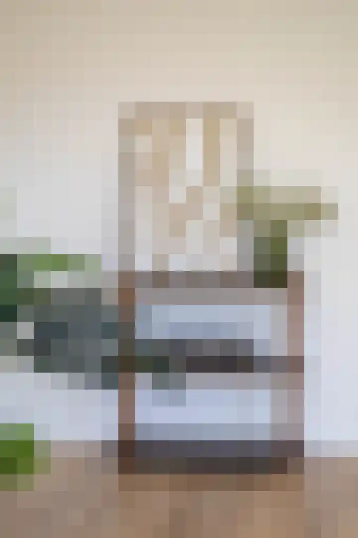 Groen van Prinstererstraat 55 B 01 Rotterdam thumbnail 43