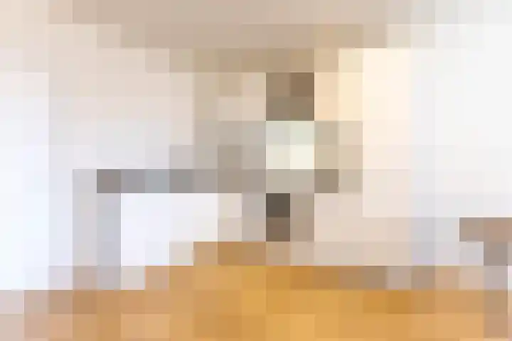 Groen van Prinstererstraat 55 B 01 Rotterdam thumbnail 6