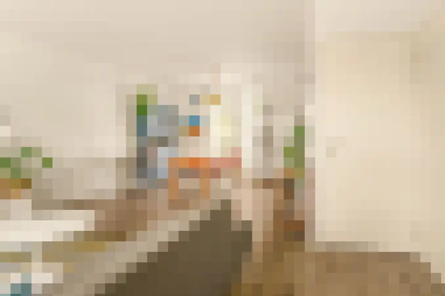 Groen van Prinstererstraat 56 3 Amsterdam thumbnail 13