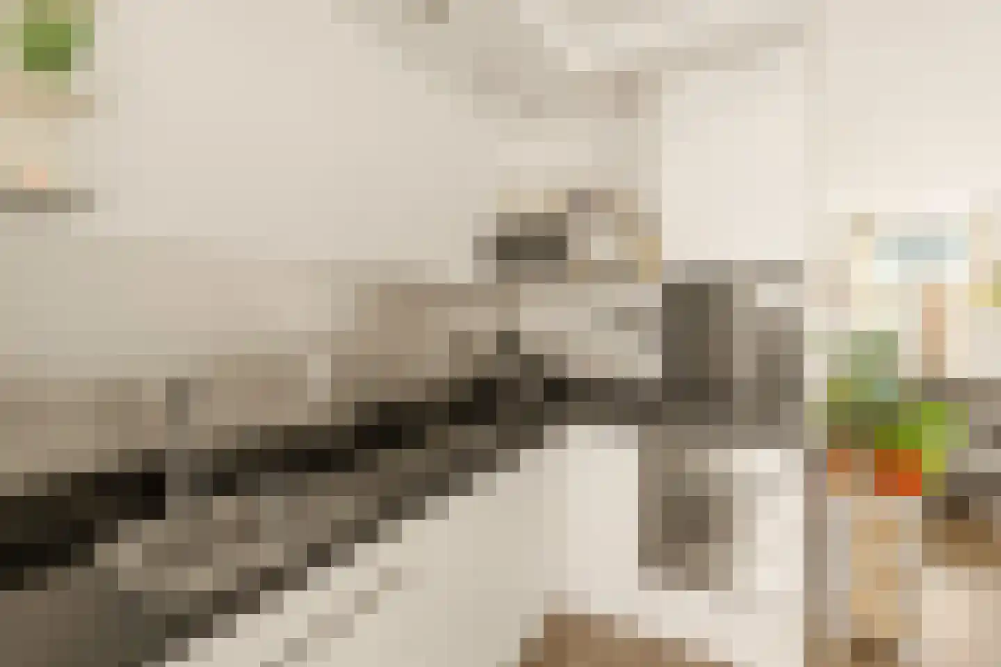 Groen van Prinstererstraat 56 3 Amsterdam thumbnail 17