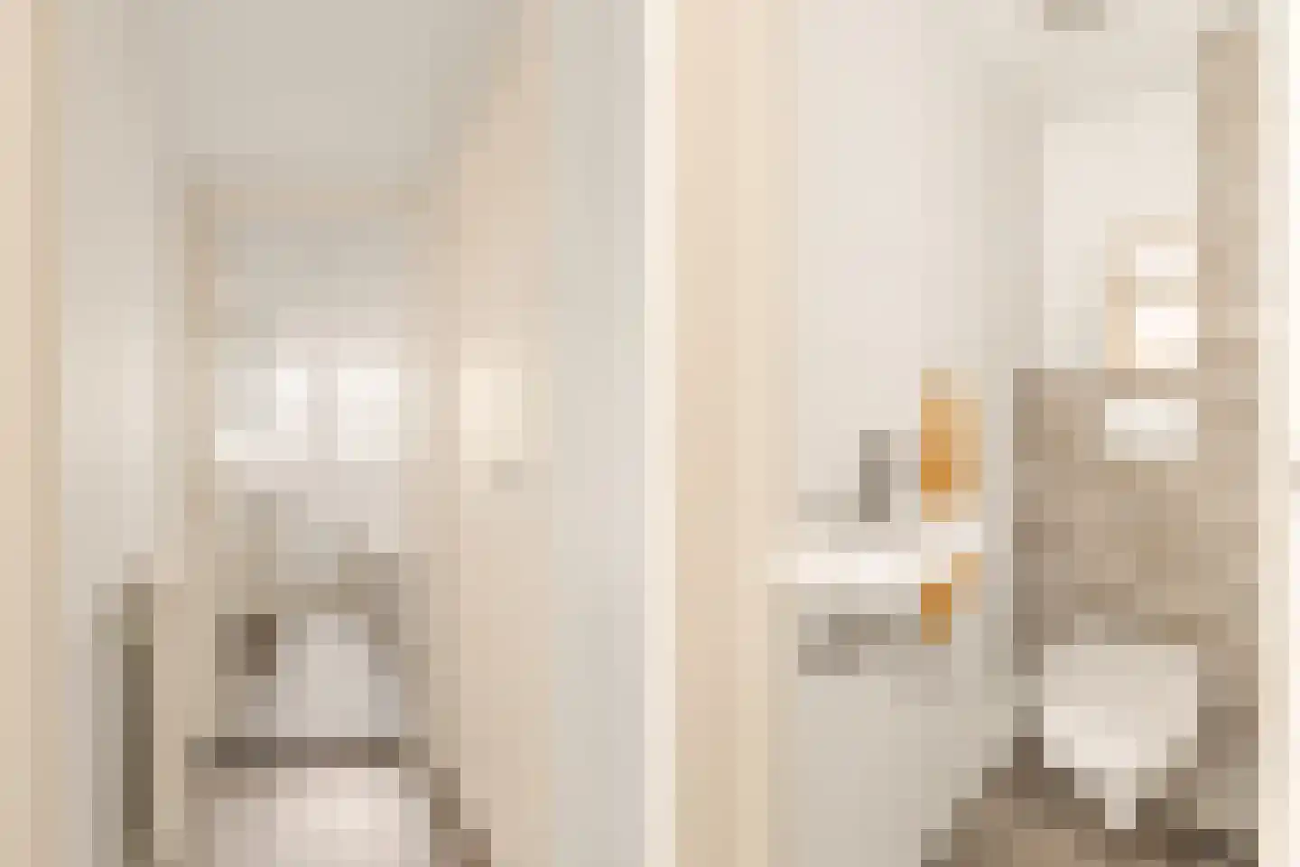 Groen van Prinstererstraat 56 3 Amsterdam thumbnail 30