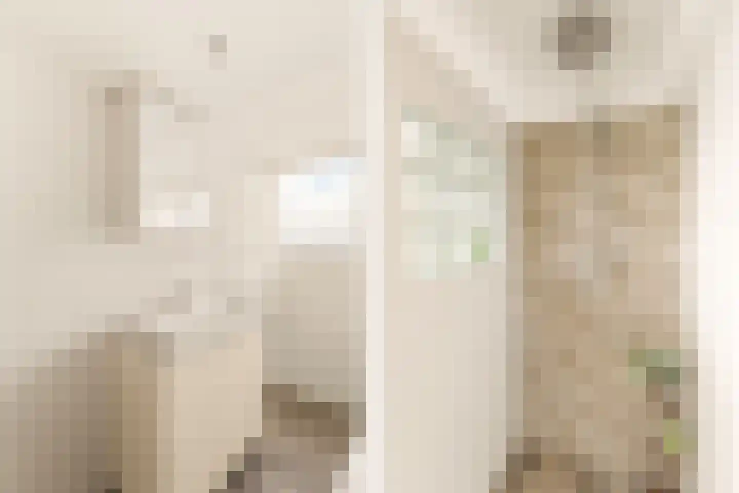 Groen van Prinstererstraat 56 3 Amsterdam thumbnail 32